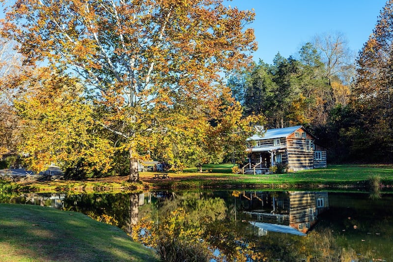 A still lake in the foreground with a log cabin and tall maple tree in the background.