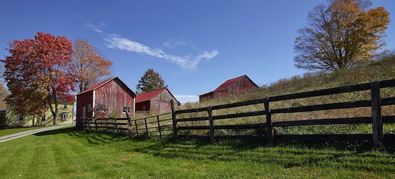 A grassy lawn and pasture separated by a wood fence, with three red wooden sheds in the background.