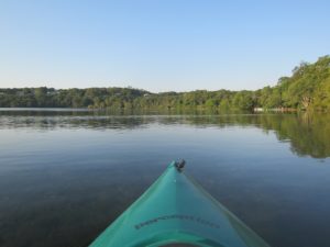 Looking out from a kayak on a tranquil lake on a summer's morning