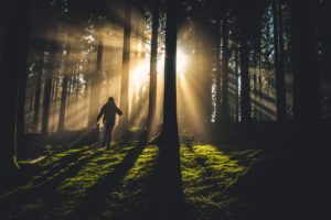 A person hiking through the woods. 