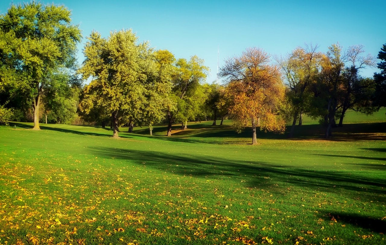 A grassy park area.
