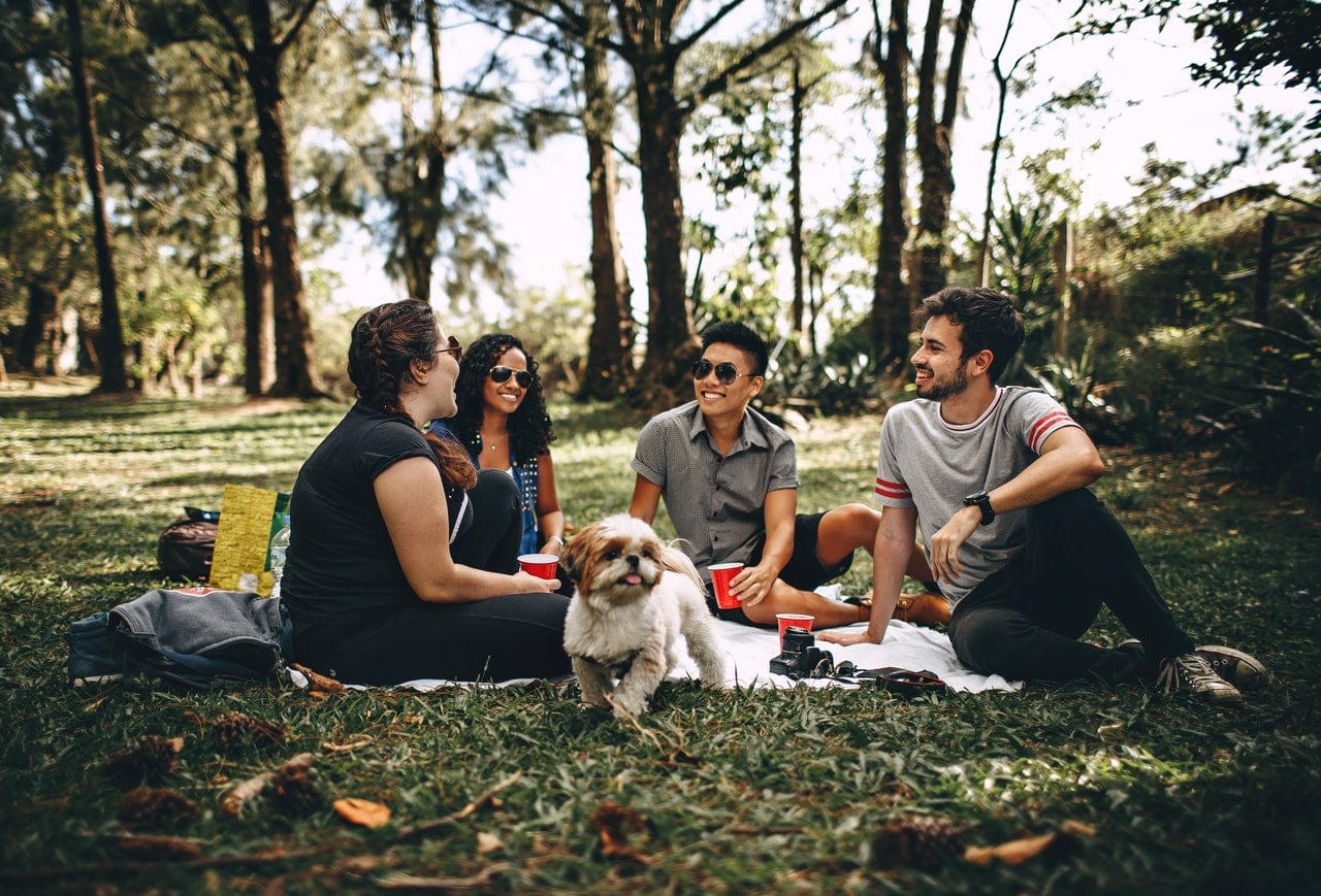 Group of friends having a picnic at the park.